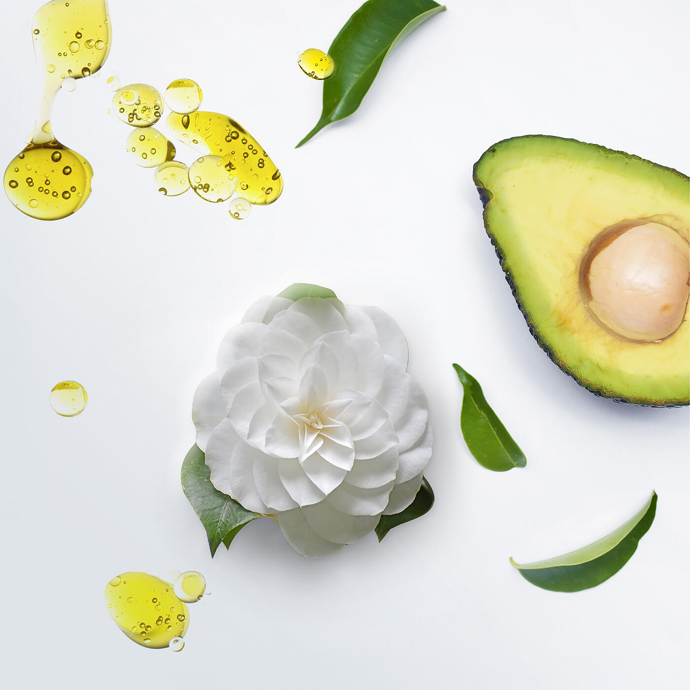 Texto: Texto alternativo