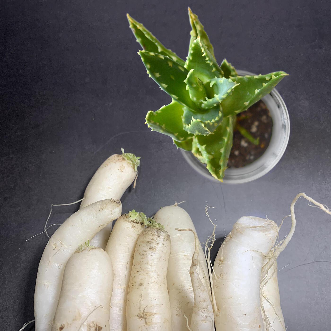 Texto: Texto alternativo