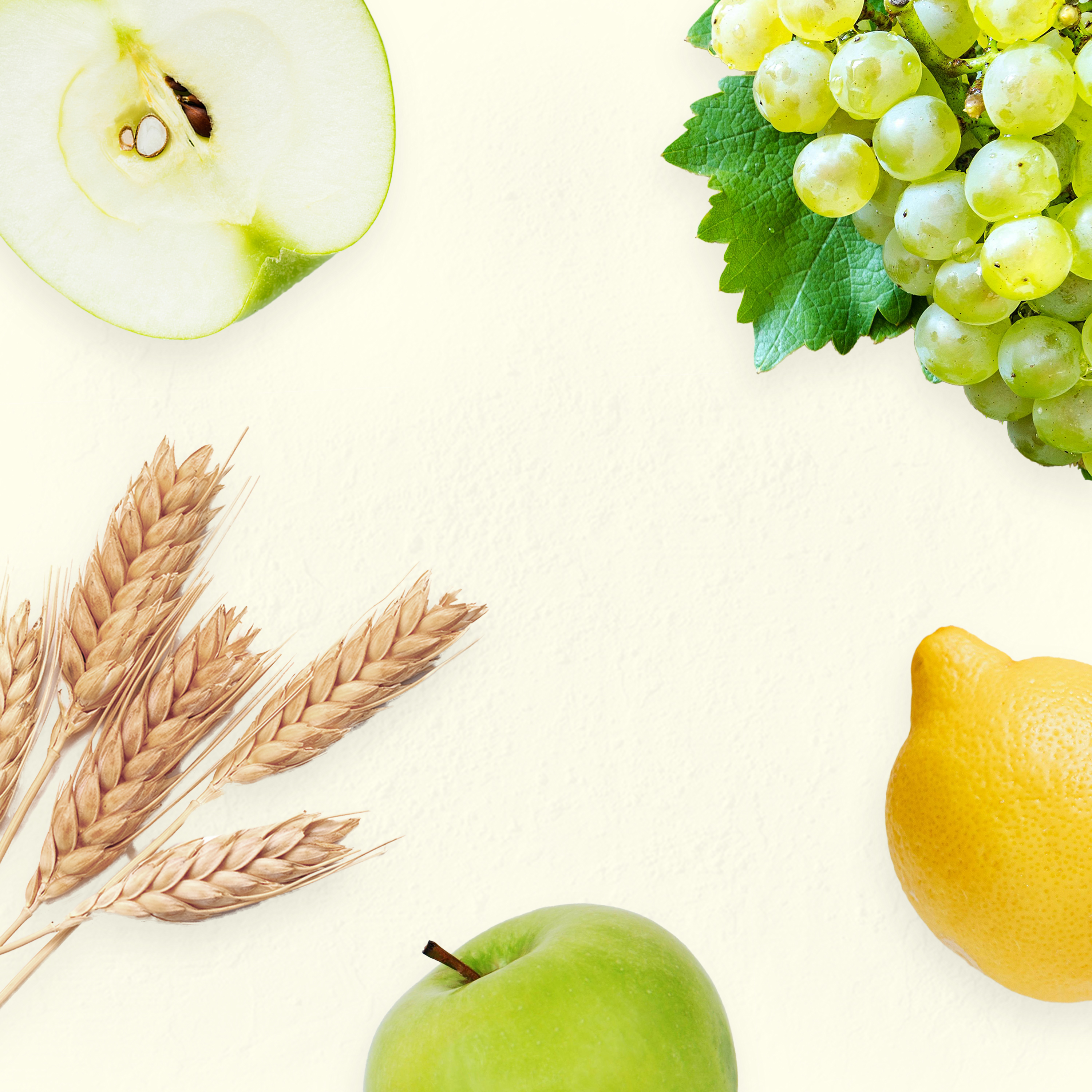 Testo: testo alternativo