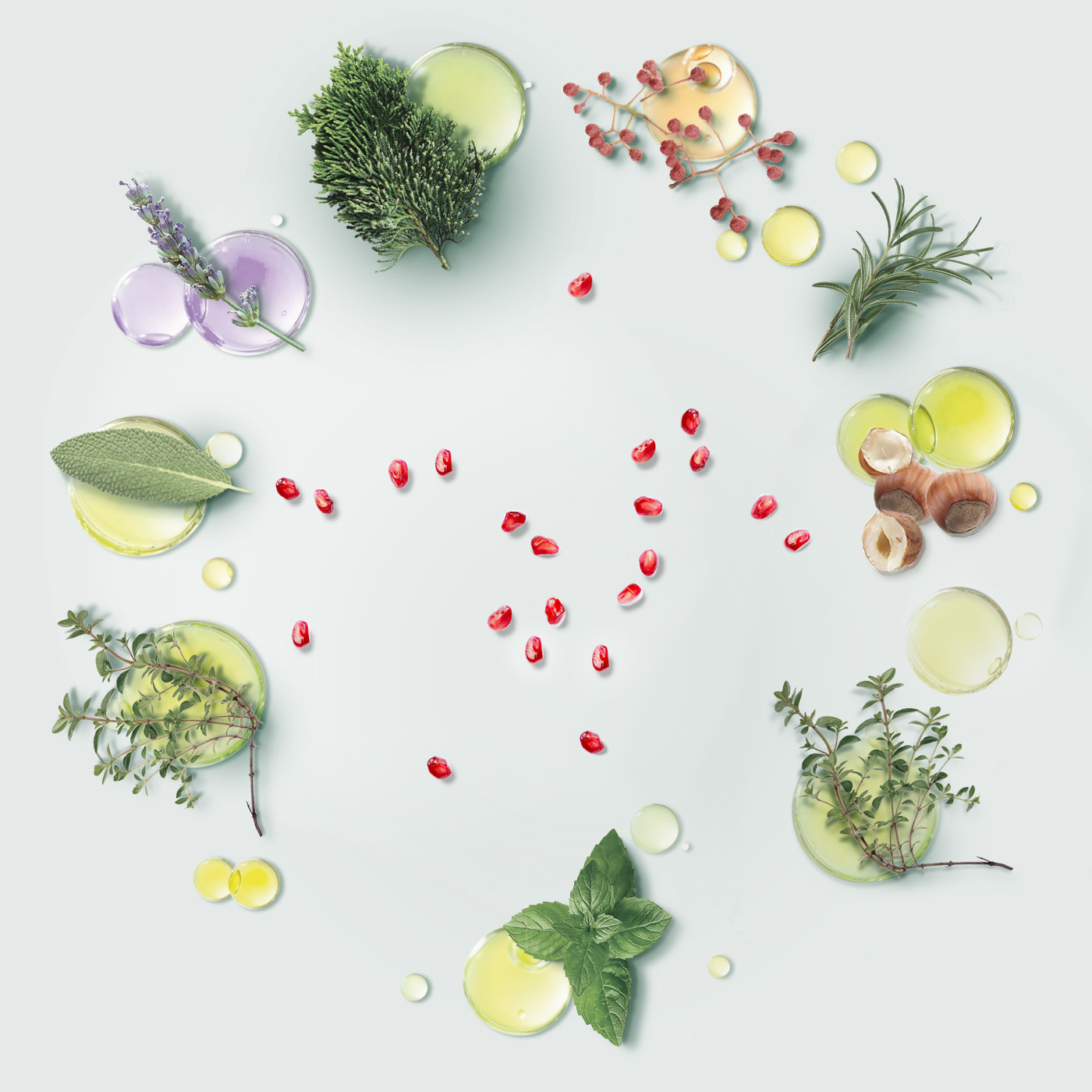 Texto: Texto alternativo