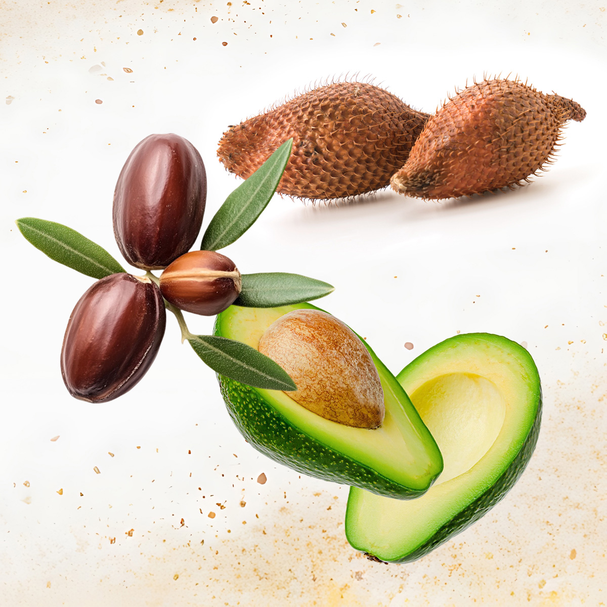 Testo: testo alternativo