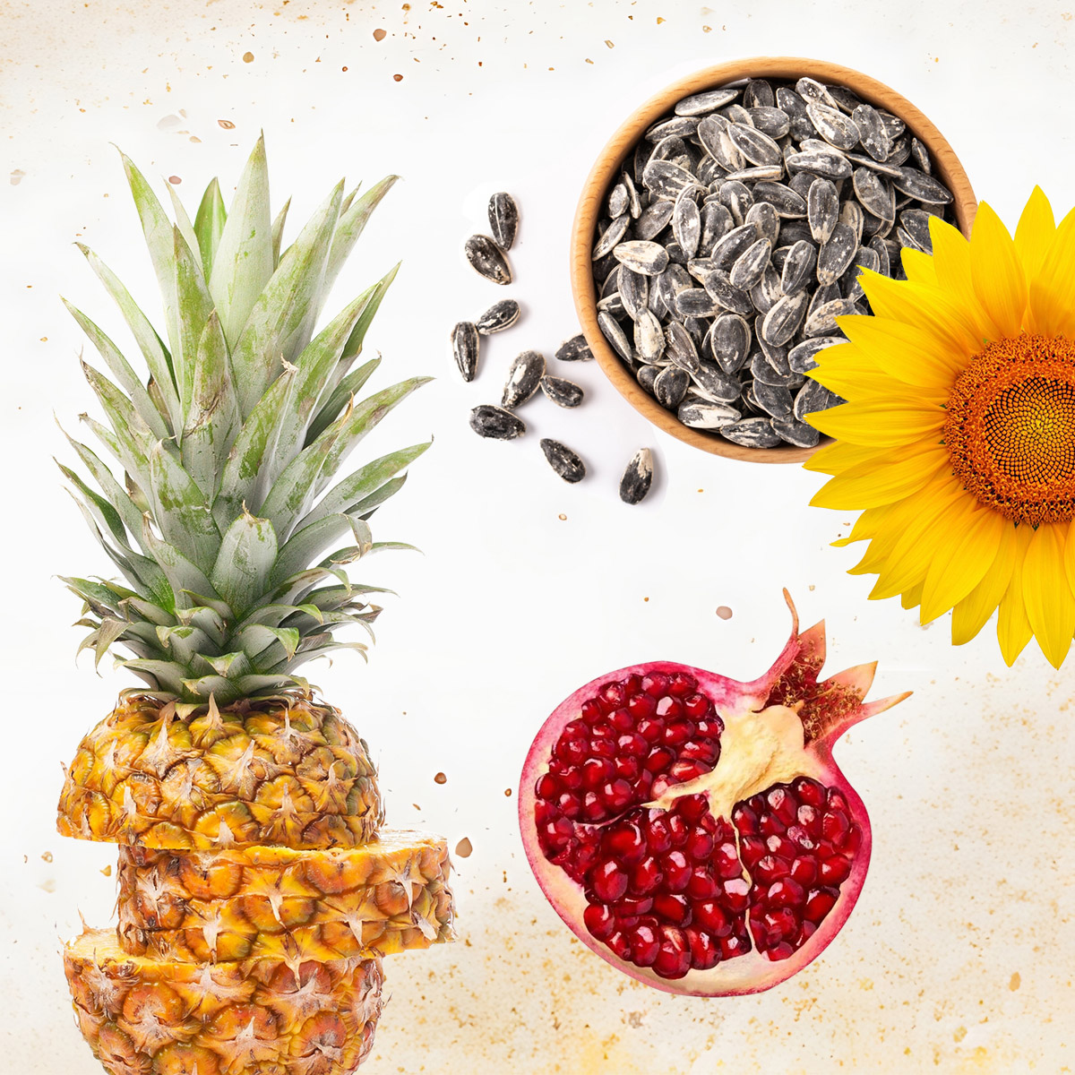 Testo: testo alternativo