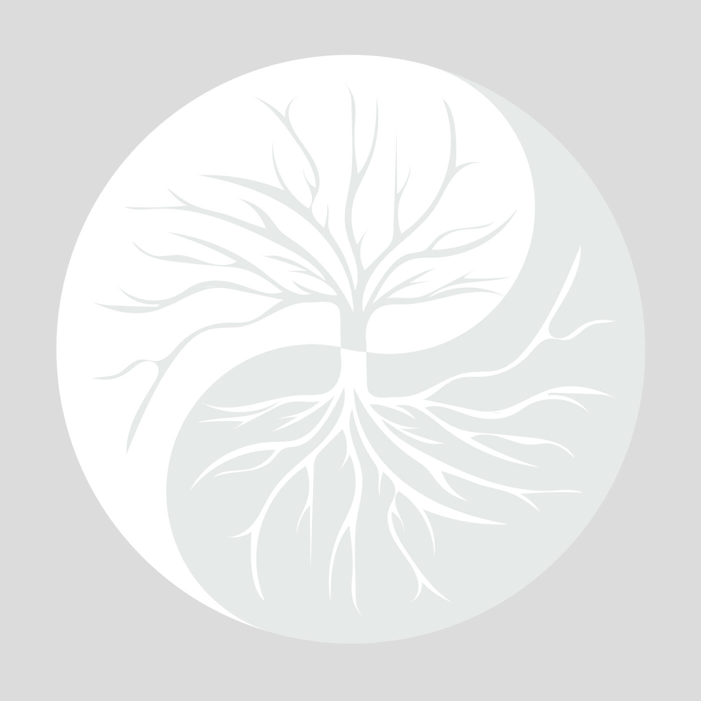 Texto: Texto alternativo