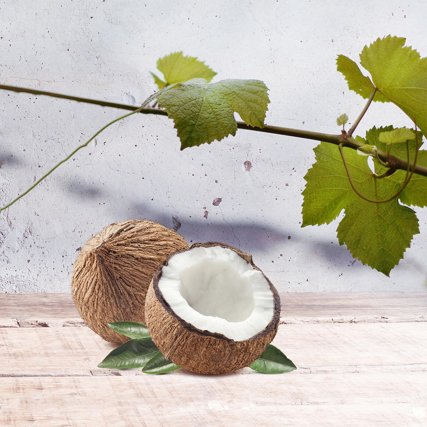 Texto: Texto alternativo